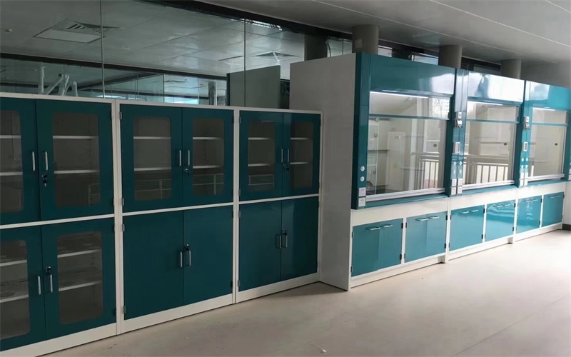 2021最新通風(fēng)柜、實(shí)驗(yàn)臺(tái)的安裝現(xiàn)場(chǎng)圖