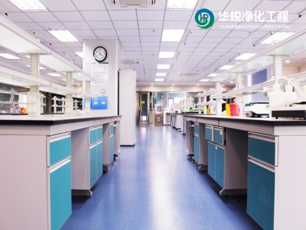 1744772587435988.jpg 11.jpg